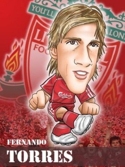 Danh hiệu cá nhân lớn nhất mà Fernando Torres làm được đó chính là danh hiệu Quả bóng Đồng châu Âu năm 2008.